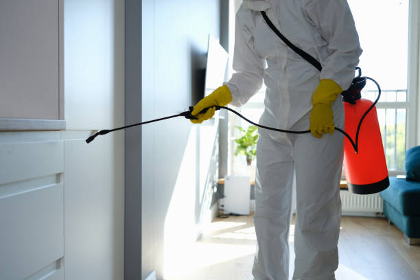 Reliable East Camden, AR Mold Removal Solutions