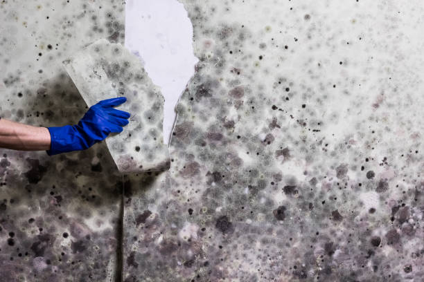 Water Damage Restoration in East Camden, AR